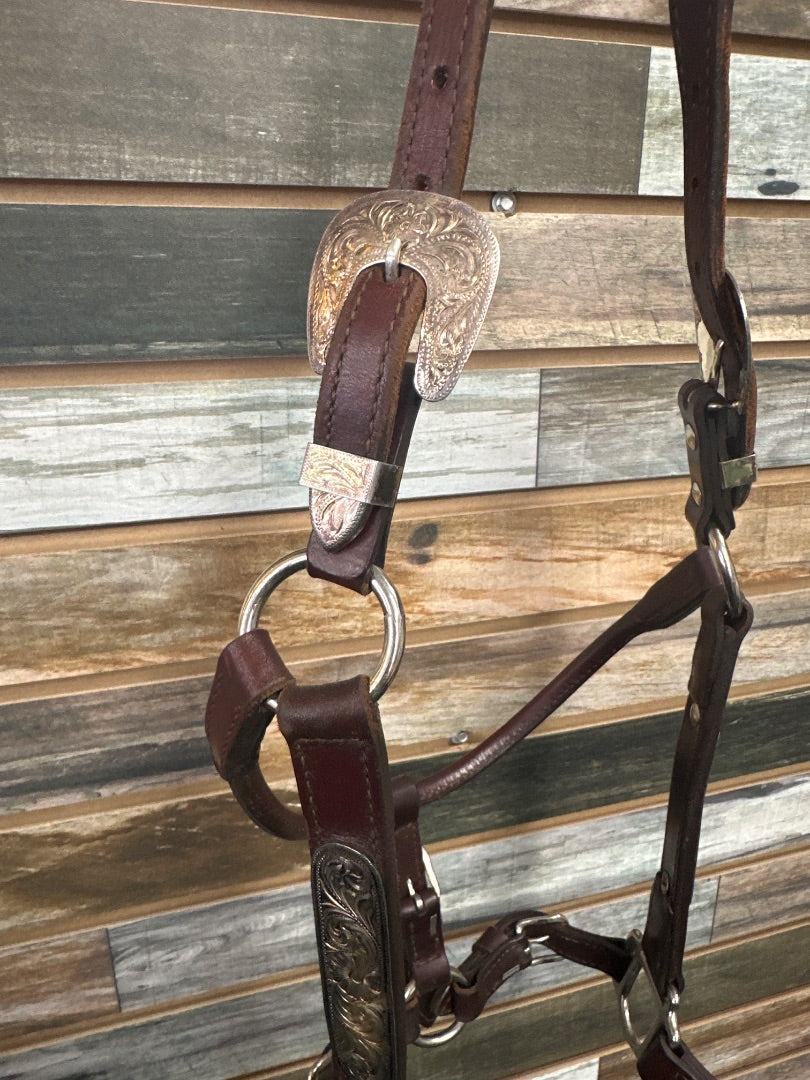 USED Royal King Show Halter Horse Deep Oil