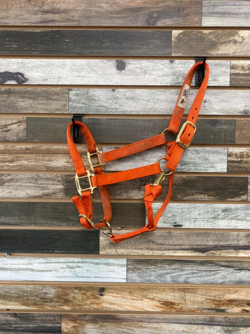 USED Weaver Nylon Halter Small Orange