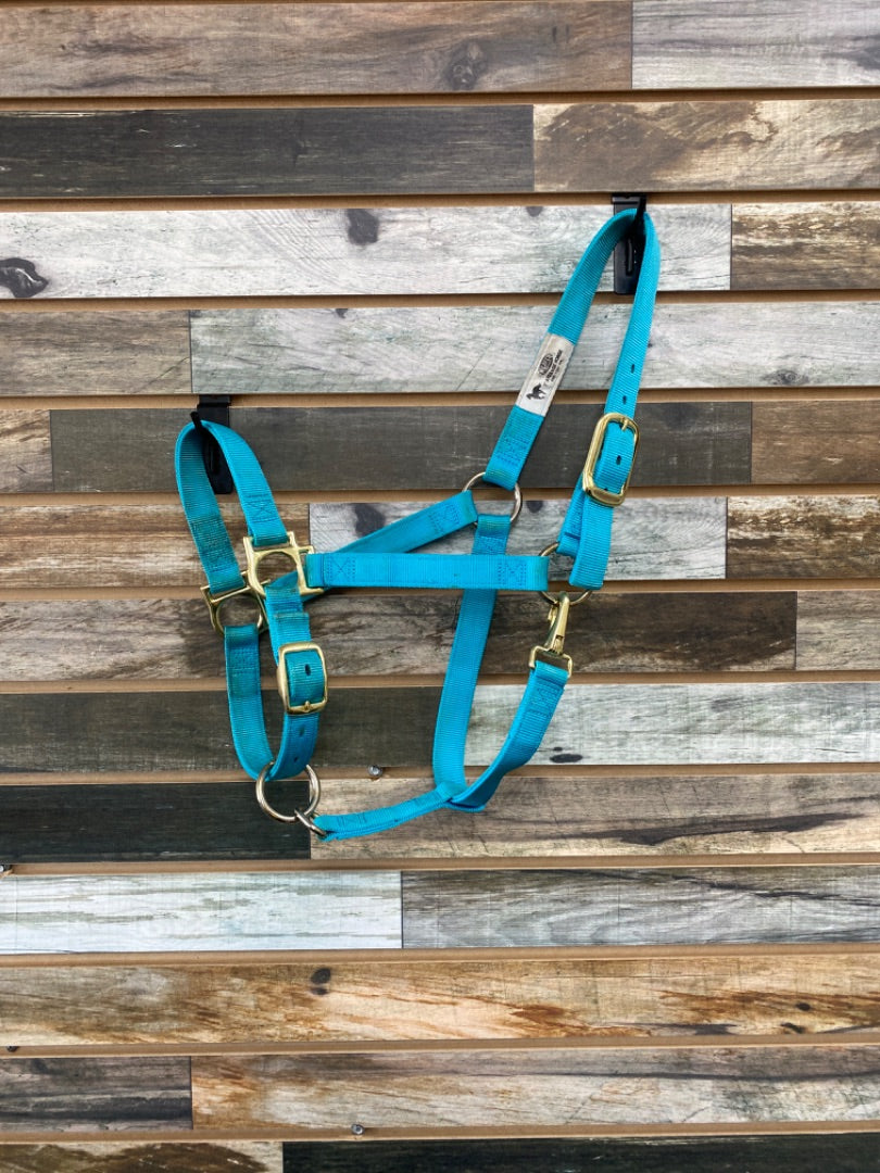 USED Weaver Nylon Halter  Hurricane Blue