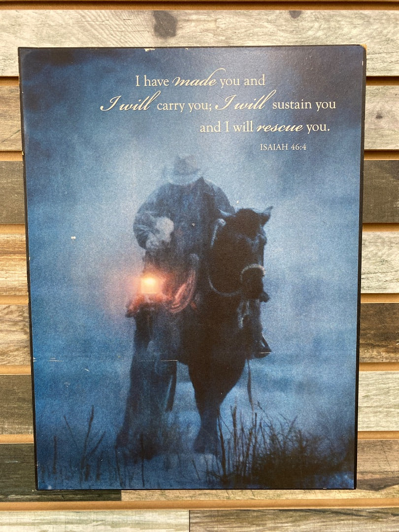 USED  Horse & Man Picture  Blue