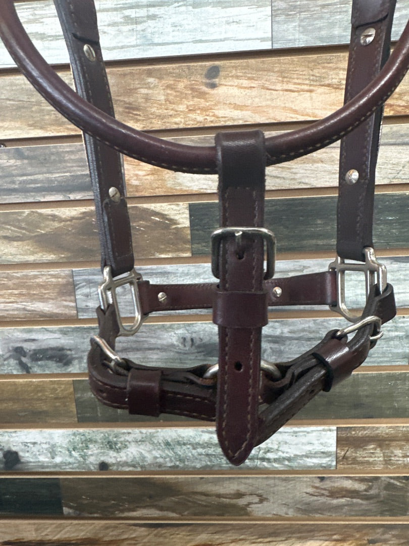 USED Royal King Show Halter Horse Deep Oil