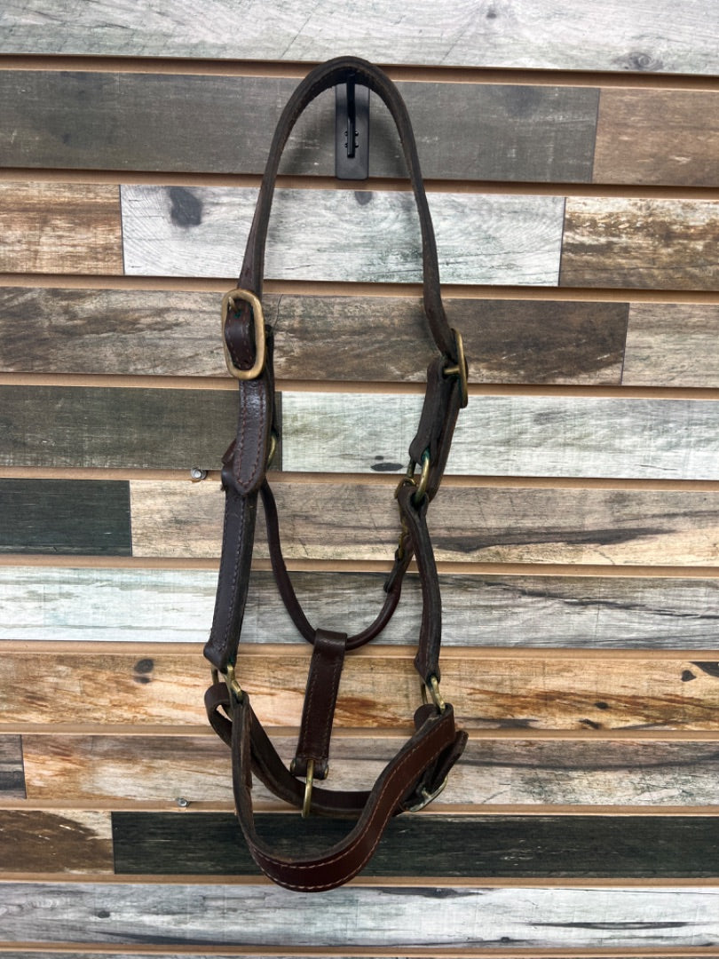 USED Leather Halter Brown Full Size