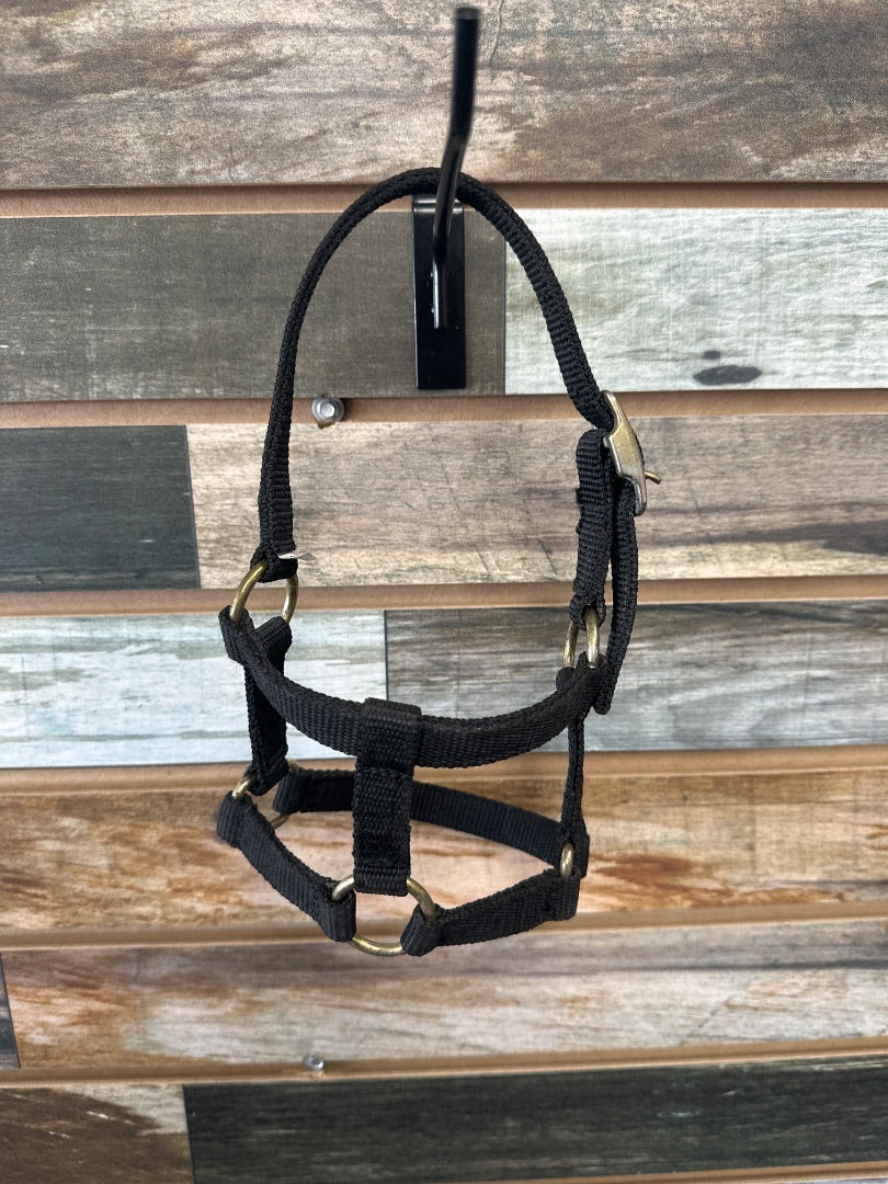 USED Black XS Mini/Foal Halter