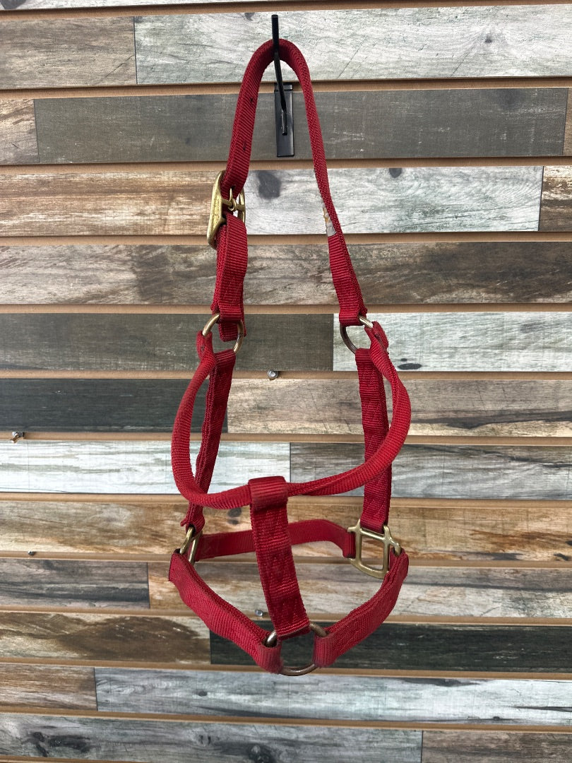 USED Large Red Halter