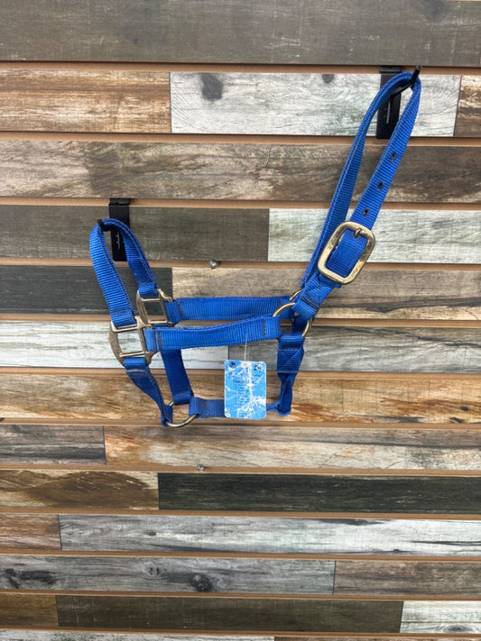 USED NWT Blue Yearling Nylon Halter