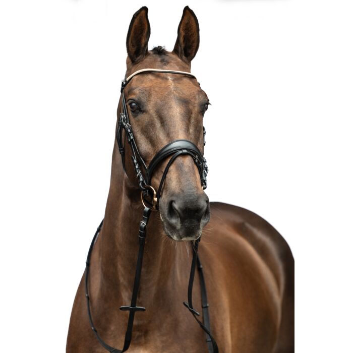 HKM Trense Kopenhagen Dressage Bridle