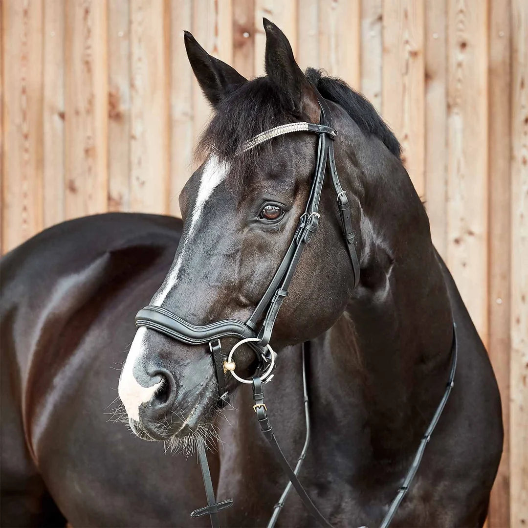 Horze Highbury Anatomical Crystal Dressage Bridle - Black