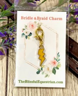 Bridle Braid Charms