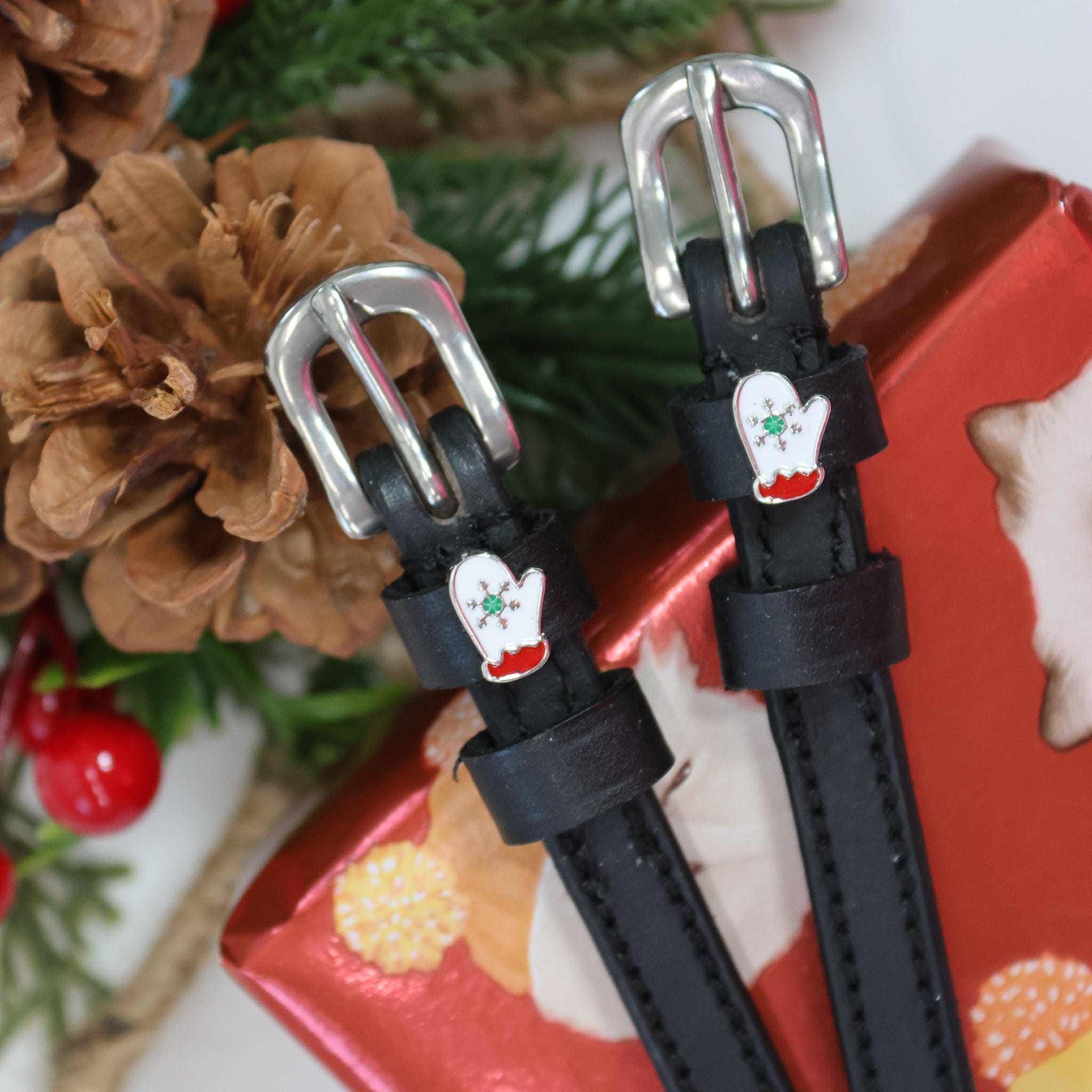 Dreamers & Schemers Spur Straps - Thumbnail 5