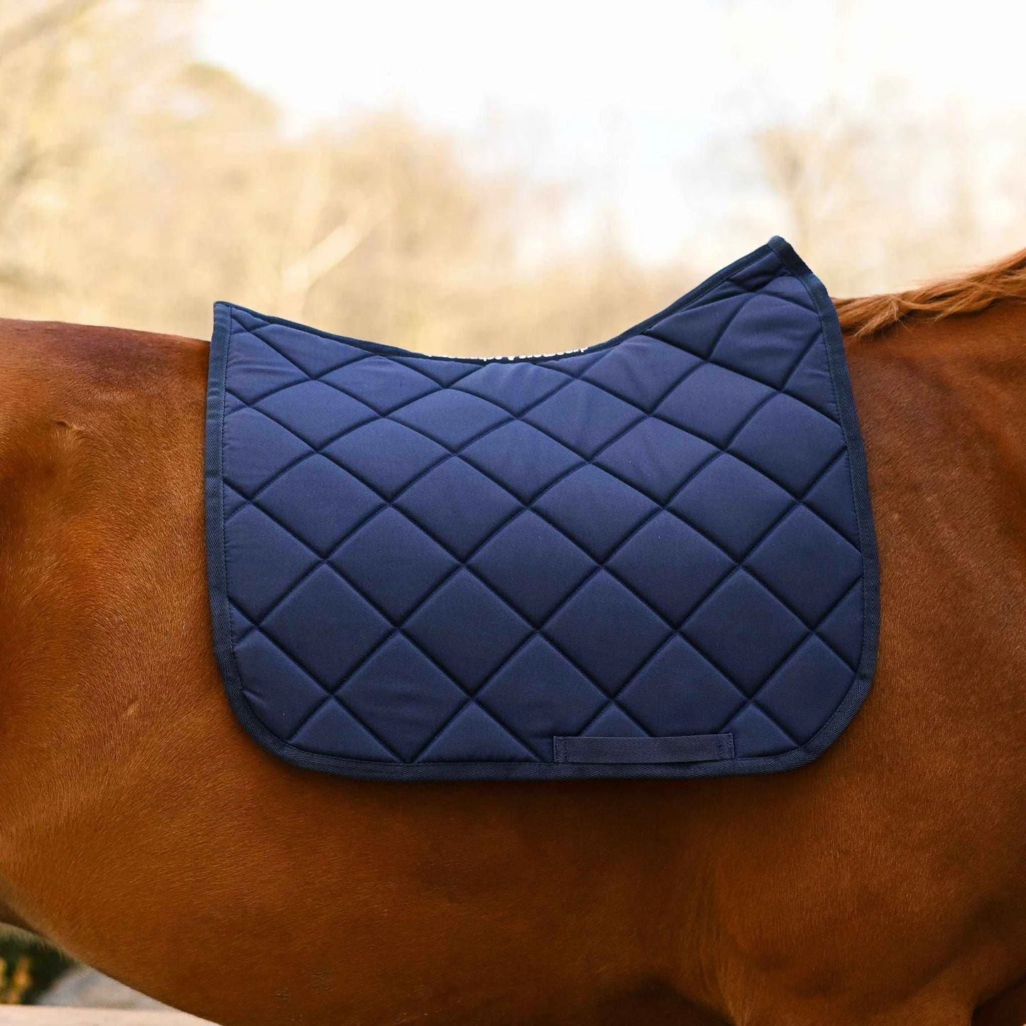 Dreamers & Schemers Saddle Pad