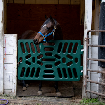 Plastic Stall Gate