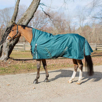 Equinavia Arktis Extended Neck Mid Weight Turnout Blanket 200g