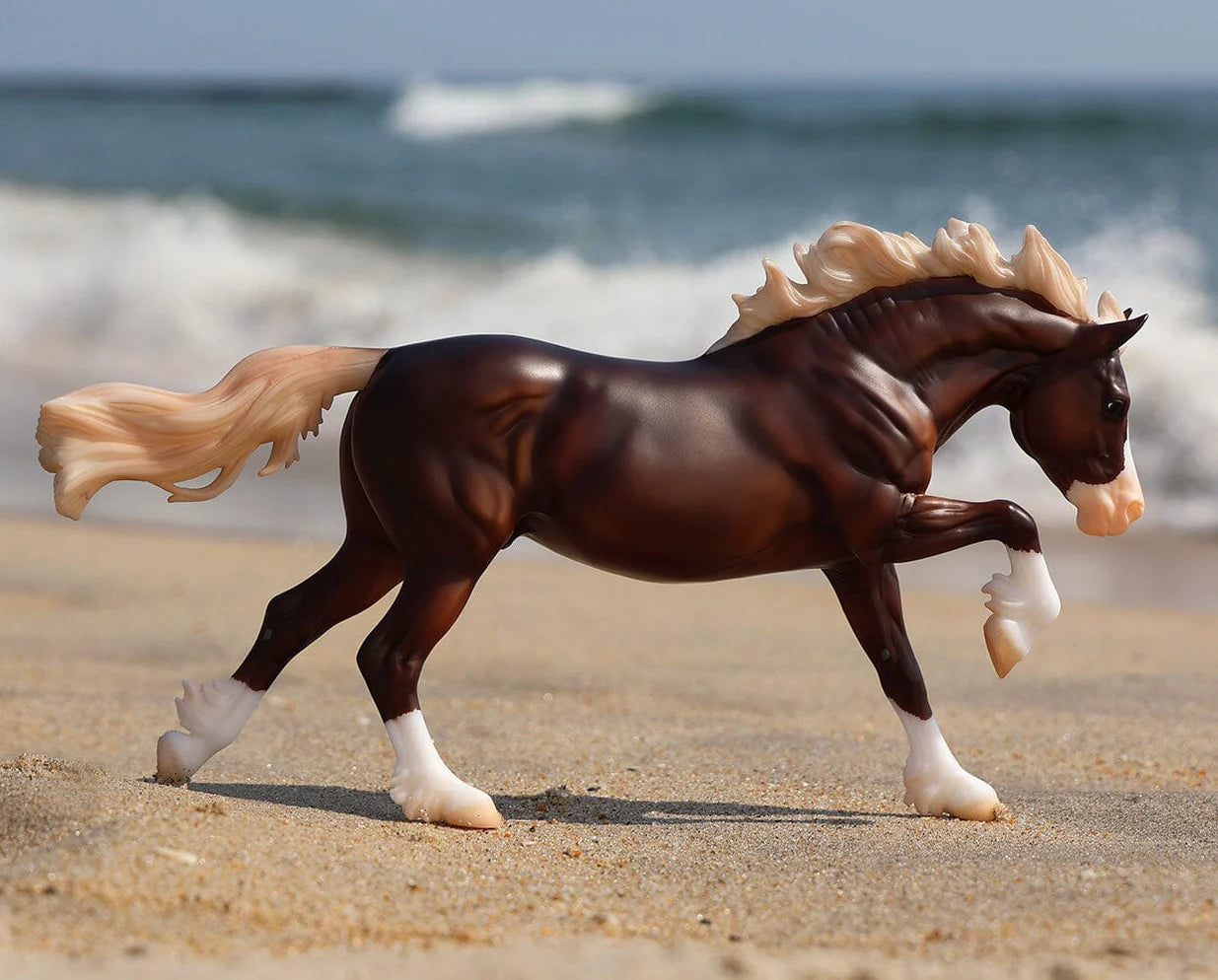 Surfer's Riptide | Chincoteague Pony