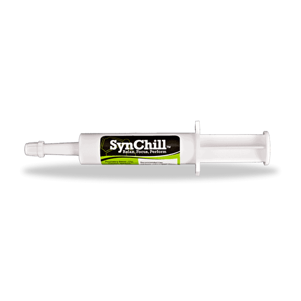 SynChill – Calming Gel for the Nervous Horse - Single Syringe/Tube