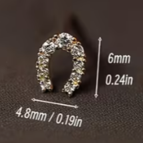 Dainty Horseshoe Shaped Post Earrings